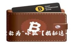 为何MetaMask被称为“小狐”