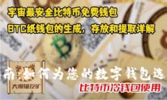 数字钱包最佳命名指南：