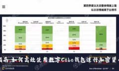 全面指南：如何高效使用