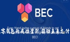 探索美国数字钱包的成功