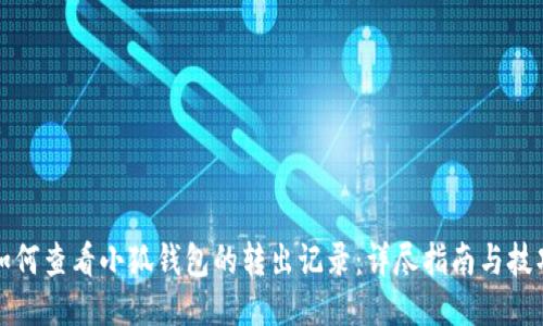 如何查看小狐钱包的转出记录：详尽指南与技巧