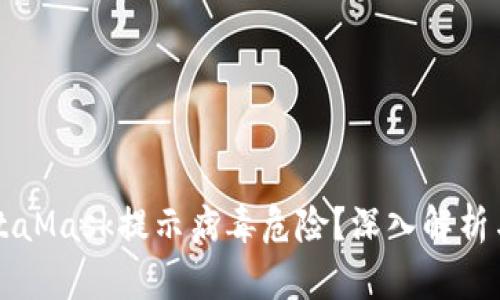为什么MetaMask提示病毒危险？深入解析与解决方案
