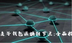 如何快速搭建麦子钱包区