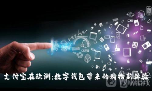 支付宝在欧洲：数字钱包带来的购物新体验