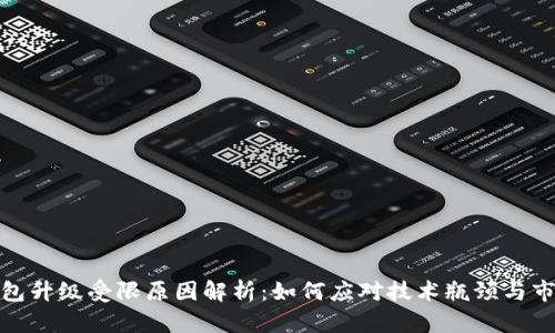 数字钱包升级受限原因解析：如何应对技术瓶颈与市场变化