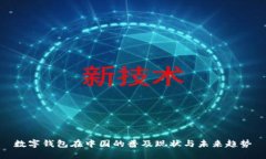 数字钱包在中国的普及现