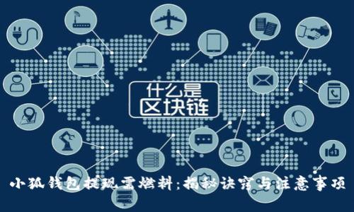 小狐钱包提现需燃料：揭秘诀窍与注意事项