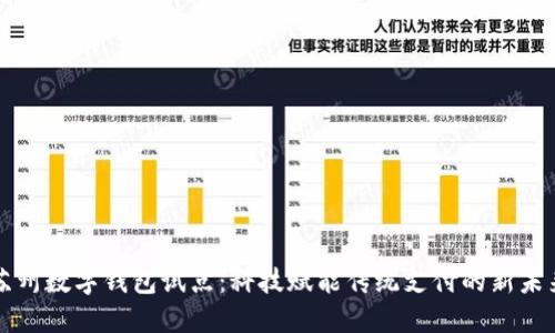 苏州数字钱包试点：科技赋能传统支付的新未来