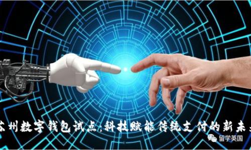 苏州数字钱包试点：科技赋能传统支付的新未来