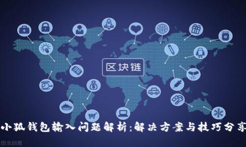 小狐钱包输入问题解析：解决方案与技巧分享