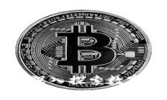 MetaMask小狐钱包：深入探索数字资产管理的创新工