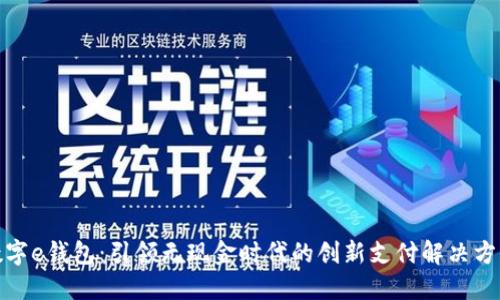 数字e钱包：引领无现金时代的创新支付解决方案