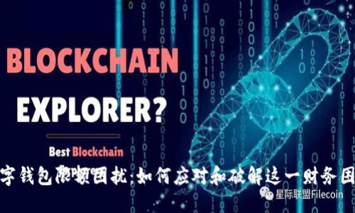 数字钱包限额困扰：如何应对和破解这一财务困境