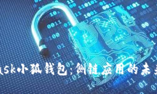 揭秘MetaMask小狐钱包：侧链应用的未来与独特优势