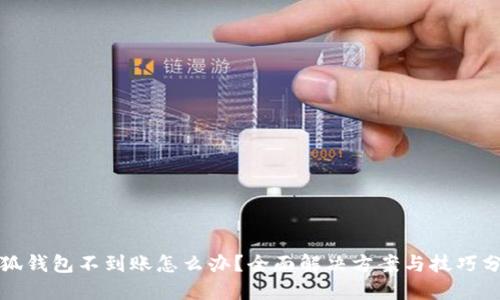 小狐钱包不到账怎么办？全面解决方案与技巧分享