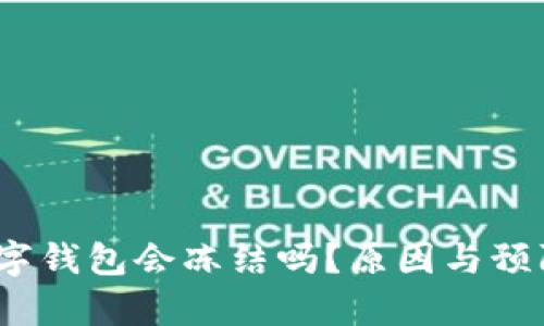 深度剖析：数字钱包会冻结吗？原因与预防措施全解析