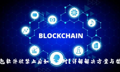 小狐钱包软件被禁止后如何应对？详解解决方案与替代选择