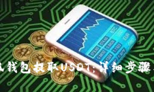 如何在小狐钱包提取USDT：详细步骤与注意事项