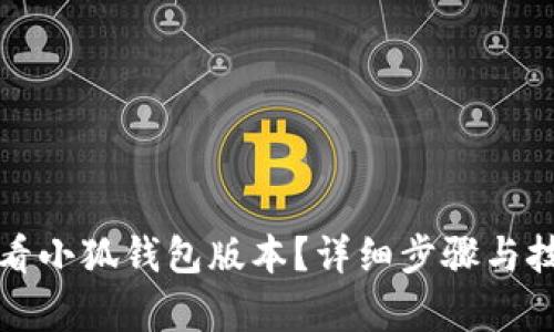 如何查看小狐钱包版本？详细步骤与技巧解析