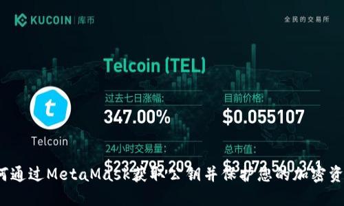 如何通过MetaMask获取公钥并保护您的加密资产？
