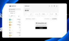 数字钱包营销口径通常指的是在推广数字钱包产