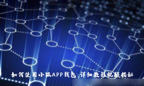 如何使用小狐APP钱包：详细教程视频揭秘