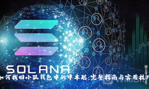 如何找回小狐钱包中的中本聪：完整指南与实用技巧