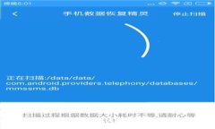 MetaMask钱包：引领区块链数字资产管理的创新先锋