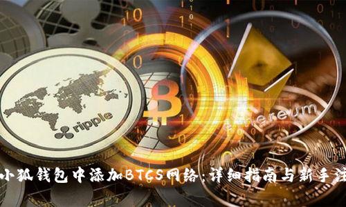 如何在小狐钱包中添加BTCS网络：详细指南与新手注意事项