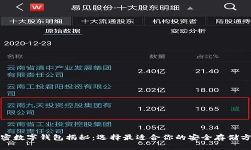 加密数字钱包揭秘：选择最适合你的安全存储方案