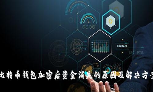 比特币钱包加密后资金消失的原因及解决方案