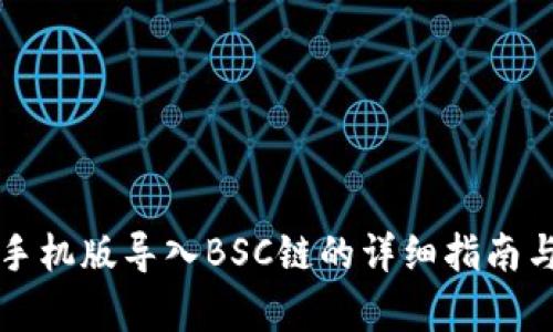 小狐钱包手机版导入BSC链的详细指南与优点解析