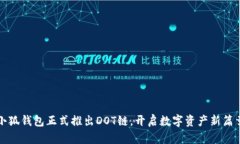 小狐钱包正式推出DOT链，开启数字资产新篇章