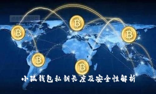 小狐钱包私钥长度及安全性解析