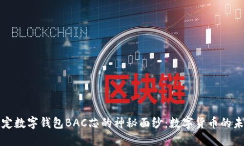揭开法定数字钱包BAC芯的神秘面纱：数字货币的未来之钥