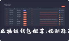 2023年最安全的区块链钱包推荐：揭秘隐藏的宝藏