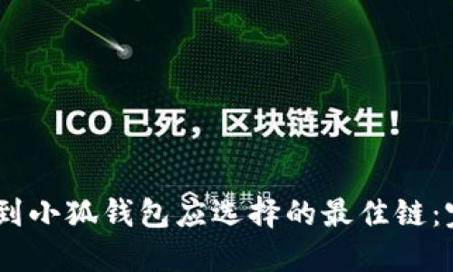 USDT提到小狐钱包应选择的最佳链：完整指南