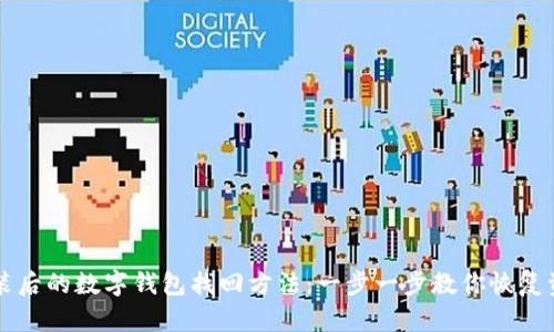 系统重装后的数字钱包找回方法：一步一步教你恢复资金安全