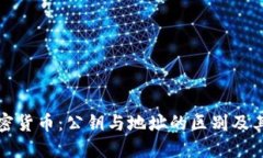 解密加密货币：公钥与地址的区别及其重要性