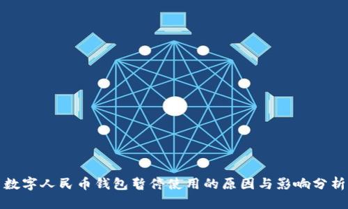 数字人民币钱包暂停使用的原因与影响分析