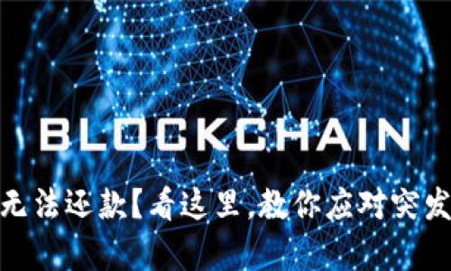 数字钱包还款日无法还款？看这里，教你应对突发情况的有效策略