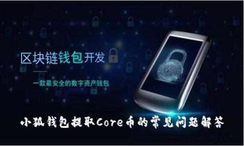 小狐钱包提取Core币的常见问题解答