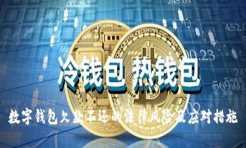 数字钱包欠款不还的法律风险及应对措施