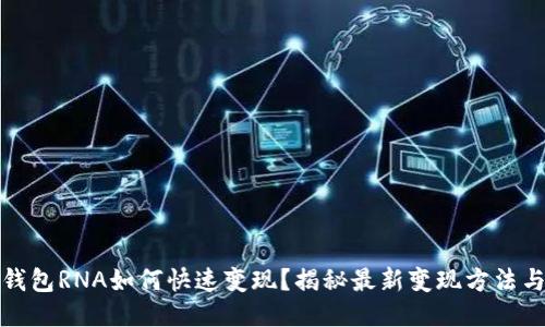 小狐钱包RNA如何快速变现？揭秘最新变现方法与技巧