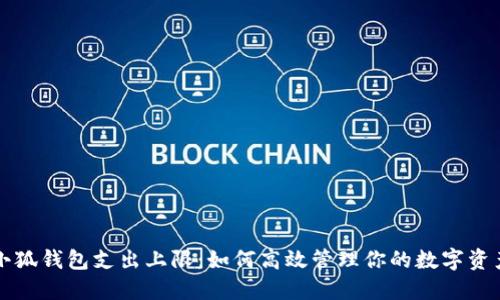 小狐钱包支出上限：如何高效管理你的数字资产