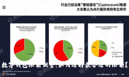 数字钱包限额调整：如何选择最合适的限额？