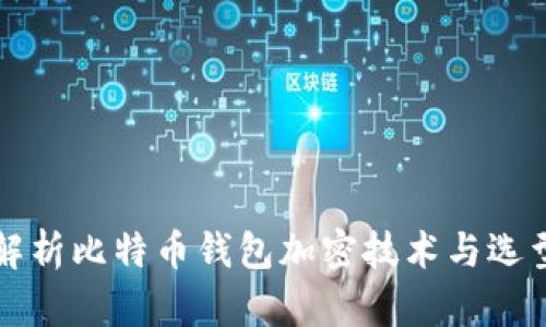 全面解析比特币钱包加密技术与选型指南