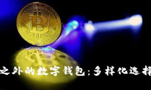 探索区块链之外的数字钱包：多样化选择与使用创新