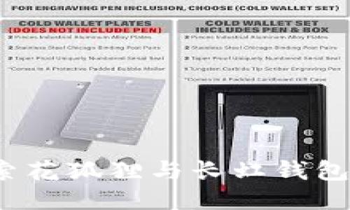 向钱进：探索花狐狸与长虹钱包的独特风采