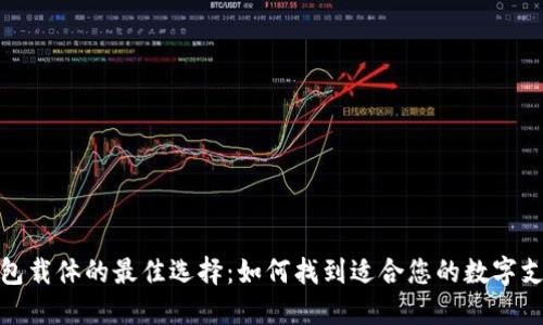 探索数字钱包载体的最佳选择：如何找到适合您的数字支付解决方案